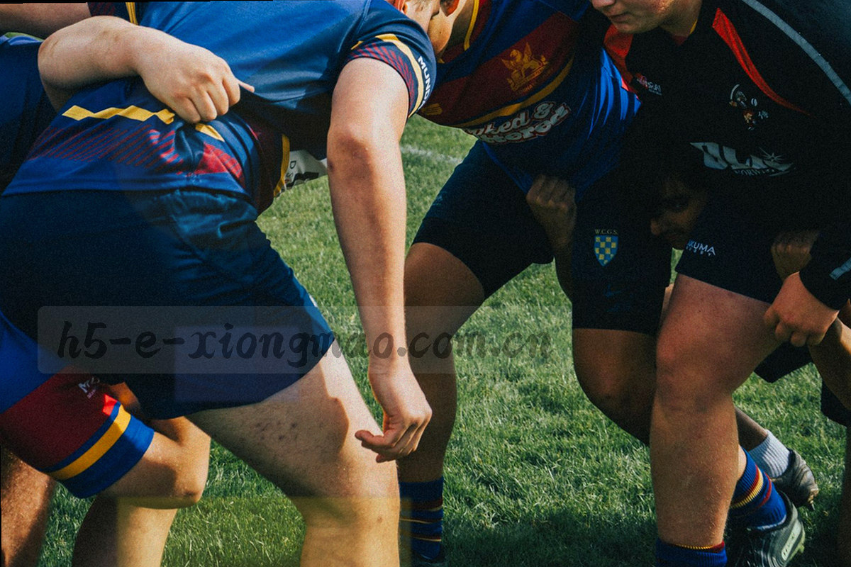标签云与收藏星标组合的信息图，六个分组以竹青绿与深墨蓝区分